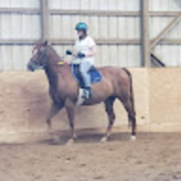 Meet your Posher, Laura - Picture 1 of 1